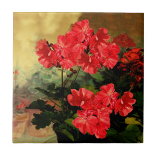 Antike Art-rote Pelargonie-Blumen-Geschenke Fliese