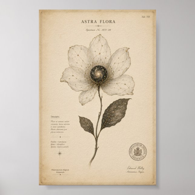 Antike astronomische Blumenwandkunst Poster (Vorne)