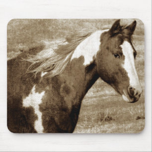 Antike Aussicht Paint Mare Mousepad