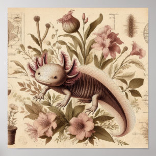 Antike Axolotl-Zeichnung mit aquatischen floralen Poster