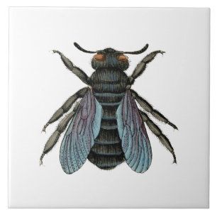 Antike Biene Typografische Vintage Honigbienen Kun Fliese