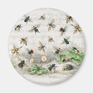 Antike Bienen-Honig-Arbeiterin Königinnen Bienen V Magnet