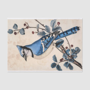 Antike Blaue Häher-Illustration Decoupage Seidenpapier