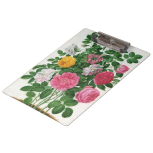 Antike blühende Blumen, Frühlingsgartenrosen Klemmbrett