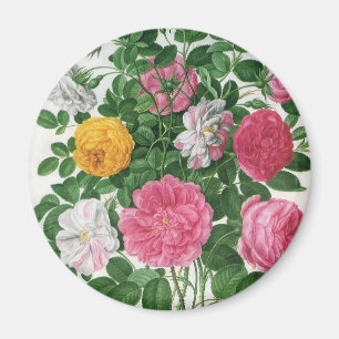 Antike blühende Blumen, Frühlingsgartenrosen Magnet