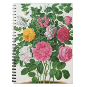 Antike blühende Blumen, Frühlingsgartenrosen Notizblock