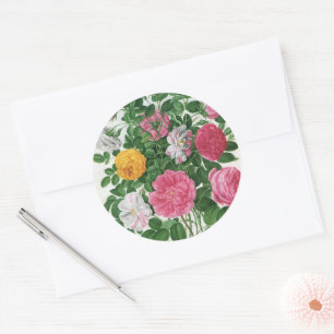 Antike blühende Blumen, Frühlingsgartenrosen Runder Aufkleber