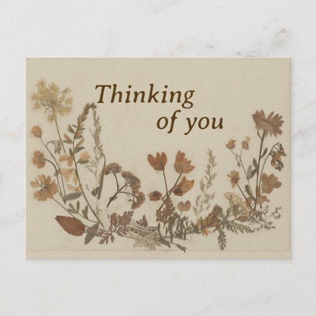 Antike Blume Postkarte (Vorderseite)