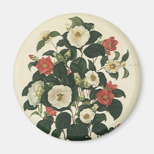 Antike Blumen, alte Gartenrosen Blumen Magnet