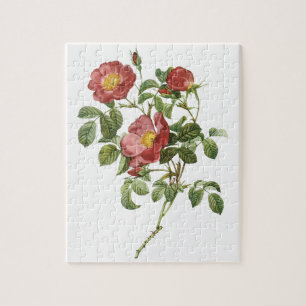 Antike Blumen Florale rote Liebesrose von Redoute Puzzle