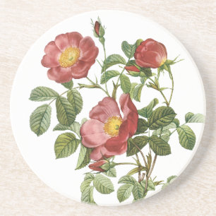 Antike Blumen Florale rote Liebesrose von Redoute Untersetzer