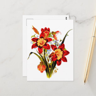 Antike Blumen Postkarte