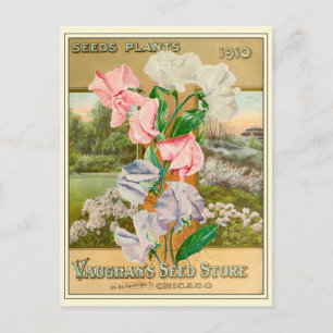 Antike Blumensamen-Kataloge für den Gartenbau in C Postkarte