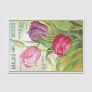 Antike Blumenzwiebeln und Samen 1912 Tulpen Seidenpapier