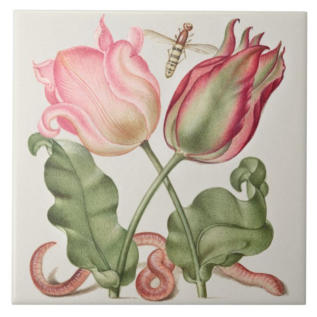 Antike Botanik Fliese (Vorderseite)