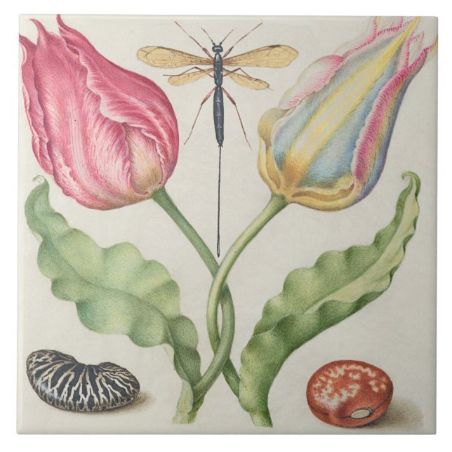 Antike Botanik Fliese (Vorderseite)