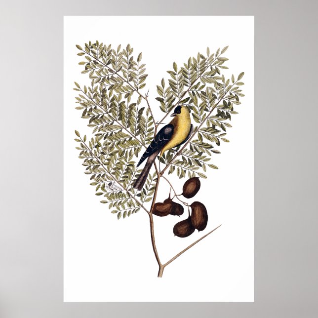 Antike Botanik mit gelbem Vogel Poster (Vorne)