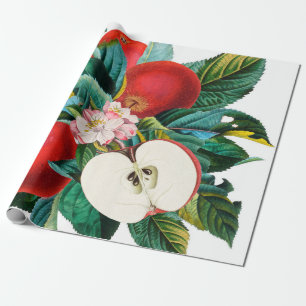 Antike botanische Apfelfruchtanordnung, Apfel t Geschenkpapier