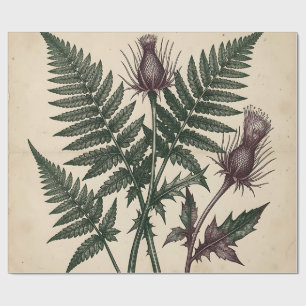Antike botanische Darstellung von Distel und Farn Geschenkpapier