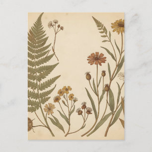 Antike Botanische Farne Wildblumen Antiquität Postkarte