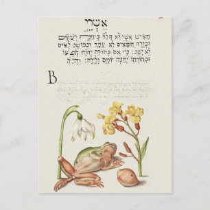 Antike botanische Illustration Feiertags-Postkarte Feiertagspostkarte