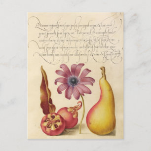 Antike botanische Illustration Feiertagspostkarte