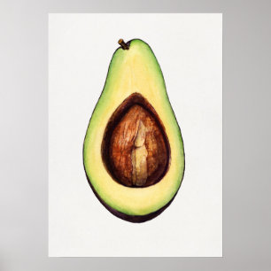 Antike botanische Illustration Poster