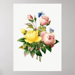Antike botanische Illustration Poster