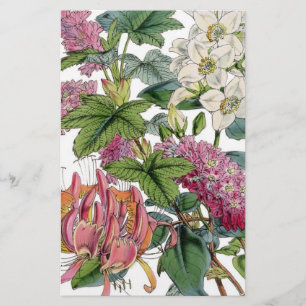 Antike botanische Illustrationen Flyer