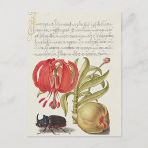 Antike botanische Illustrations-Weihnachtskarte Feiertagspostkarte