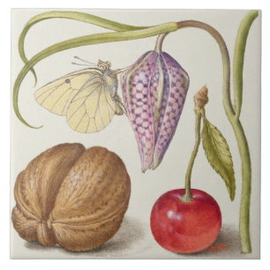 Antike botanische Keramikfliese