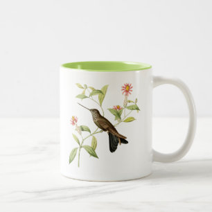 antike botanische Kolibri-Wildvogel-Kaffeetasse Zweifarbige Tasse