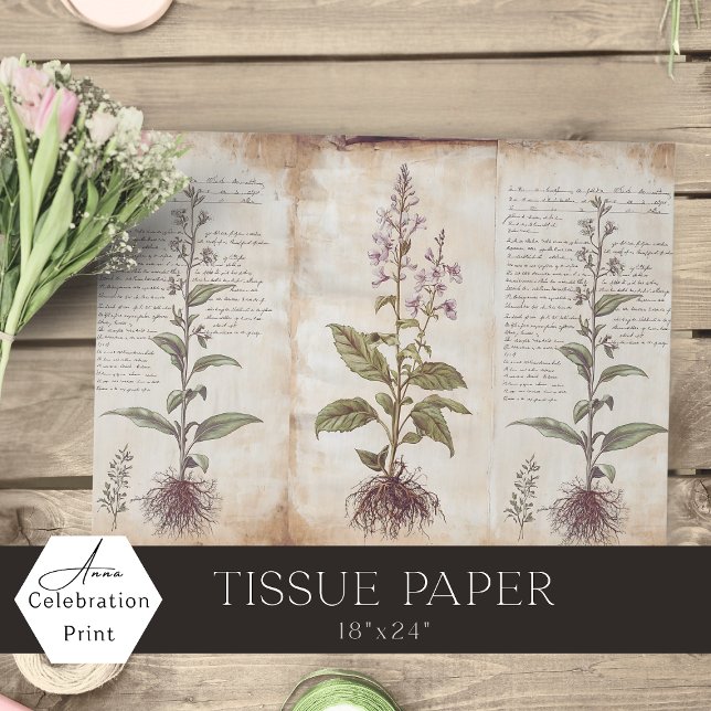 Antike Botanische Kräuter Decoupage Seidenpapier (Von Creator hochgeladen)