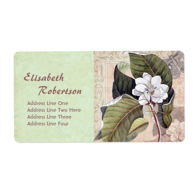 Antike botanische Print Magnolia Collage (Vorne)