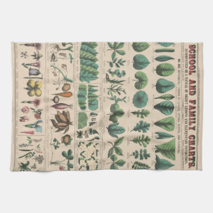 Antike botanische Schultafel Vintage Natur Geschirrtuch