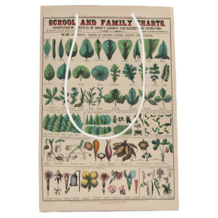 Antike botanische Schultafel Vintage Natur Mittlere Geschenktüte