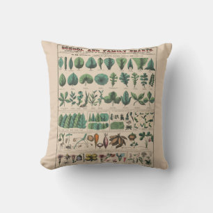 Antike botanische Schulwandtafel Vintage Natur Kissen