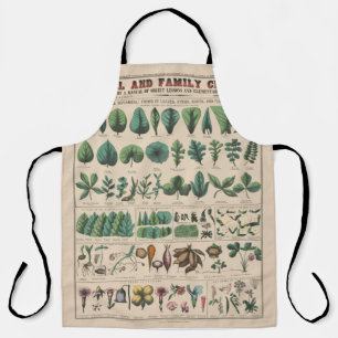 Antike botanische Schulwandtafel Vintage Natur Schürze