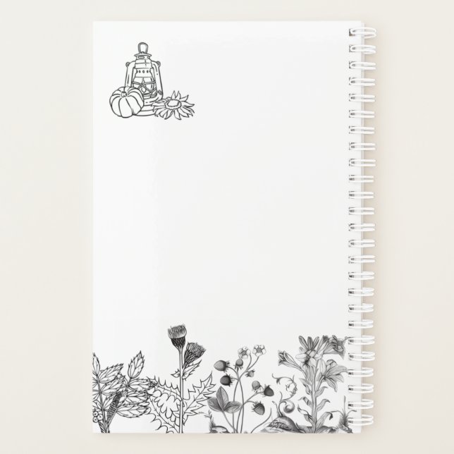 Antike botanische Schwarzweißfotografie Planer (Rückseite)