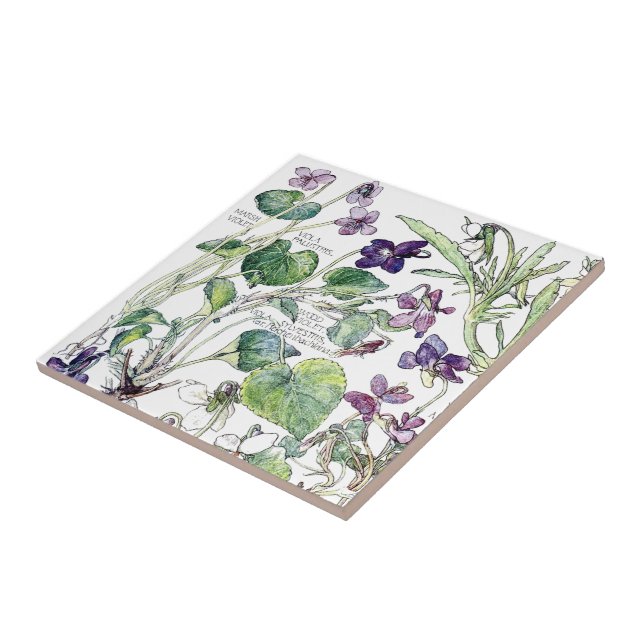 Antike botanische Veilchen-Wildblumen-Fliesen Fliese (Seite)