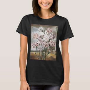 Antike buntgefleckte Nelken mit grauem Himmel T-Shirt