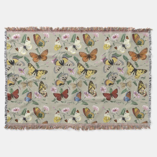Antike Butterfly Moth Botanische Blumenkunst 1842 Decke (Vorderseite)