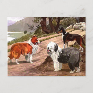 Antike Collies-Postkarte mit Gemälde Postkarte