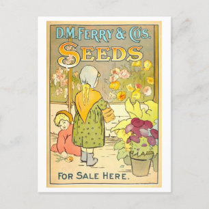 Antike D. M. Ferry & Co. Samenwerbung Postkarte