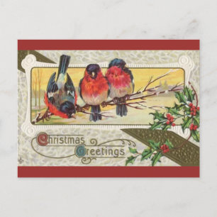 Antike drei Vögel und Weihnachts-Stechpalme Postkarte