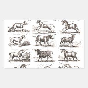 Antike Einhorn-Gravur Vintage Zoologie-Exemplar Rechteckiger Aufkleber