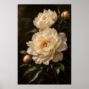 Antike Elfenbein-Pfingstrose Dunkle Blumenwandkuns Poster