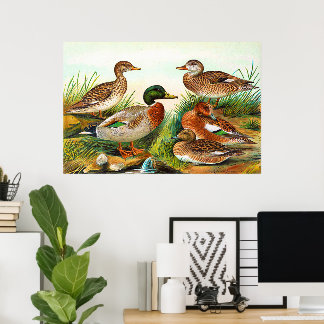 Antike Enten am Teich 3 Poster