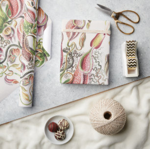 Antike Ernst Haeckel Botanische Kannenpflanze Geschenkpapier