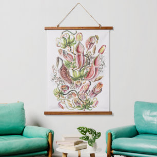 Antike Ernst Haeckel Botanische Kannenpflanze Wandteppich Mit Holzrahmen